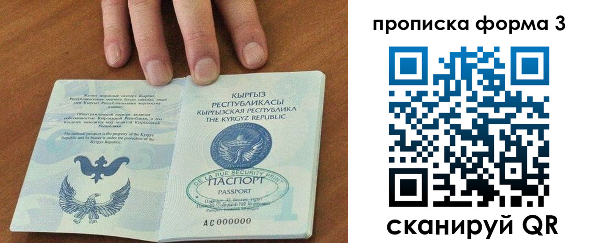 прописка 2025 в Пестово